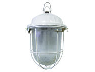 Светильник НСП 02-100-002.01 У2 (с решеткой, стекло, крюк, в сборе, инд.упак) TDM