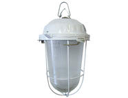 Светильник НСП 02-200-022.01 У2 (с решеткой, стекло, крюк, в сборе, инд.упак) TDM