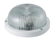 Светильник НПП 03-60-001 (металл, стекло прозр.) IP65 TDM