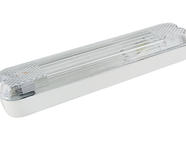 Светильник вандалоустойчивый ЛПБ 31-11-006 б/планки (КЛЛ 11 Вт, G23)  TDM