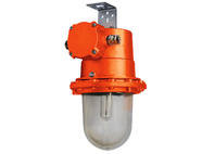 Светильник взрывозащищенный РСП 45-125-101 УХЛ1 1ExdeIICT5Gb TDM